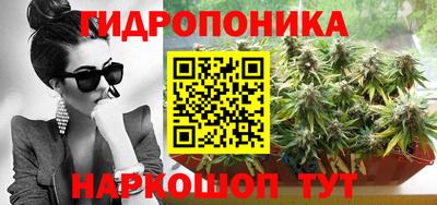 эйфоретик Будённовск