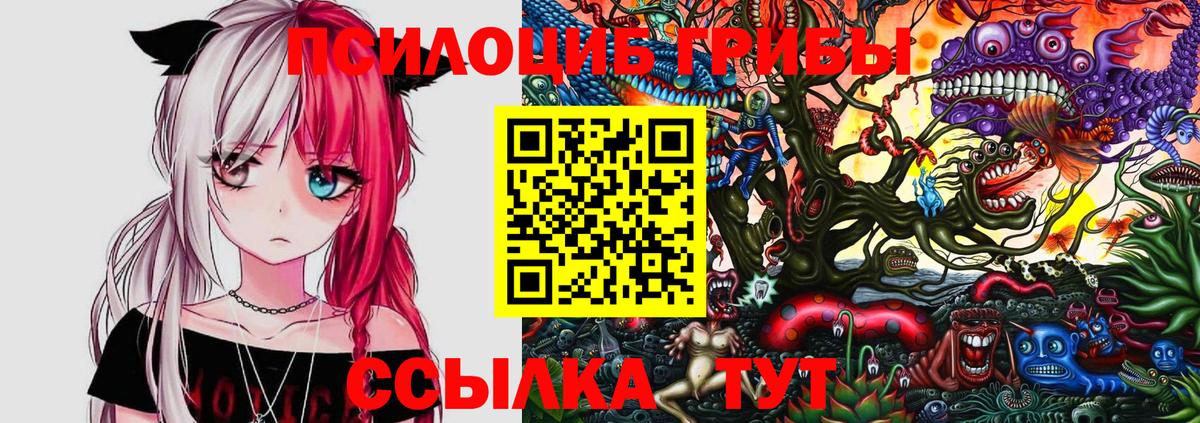 Псилоцибиновые грибы Cubensis  Вход с VPN  Тихорецк 